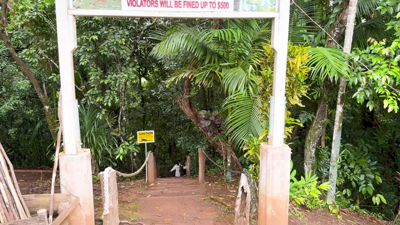 Una cámara avanza a través de la entrada de un área de conservación hacia un sendero de senderismo en la jungla.