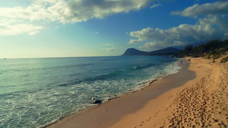 Turistas sentados juntos na praia 4k