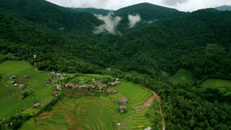 4k cinematic nature aerial drone footage of the beautiful mountains and rice terraces of ban pa pong piang at doi ithanon next to chiang mai, thailand on a cloudy sunny day