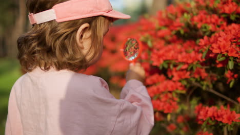 toddler uses magnifying glass to examine red azaleas