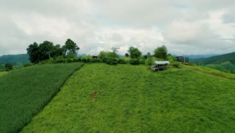 4K-Cinematic-nature-aerial-drone-footage-of-the-beautiful-mountains-and-rice-terraces-of-Ban-Pa-Pong-Piang-at-Doi-Ithanon-next-to-Chiang-Mai,-Thailand-on-a-cloudy-sunny-day