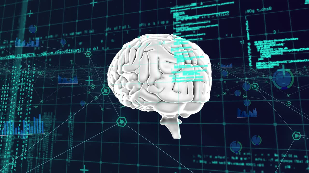 검은 바탕의 데이터 처리에 대항하여 인간의 뇌가 회전하는 디지털 애니메이션