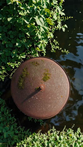 rusty metal lid in a pond with plants
