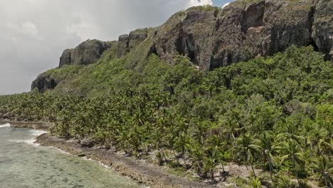 wild playa fronton beach of samana peninsula in dominican republic