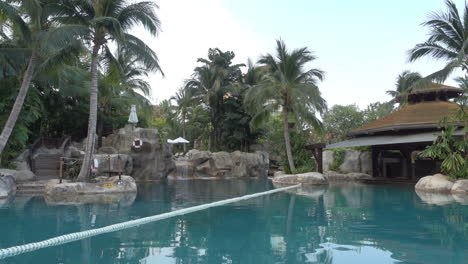 poolside at a beautiful resort lush palms trees and other tropical plants