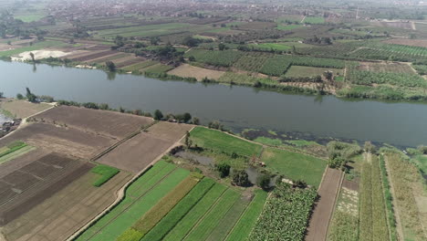 Aerial-shot-for-The-River-Nile-of-Egypt-in-Cairo-surrounded-by-the-green-agricultural-lands-of-the-Nile-Valley-beside-Giza-and-Delta-of-North-Egypt-side