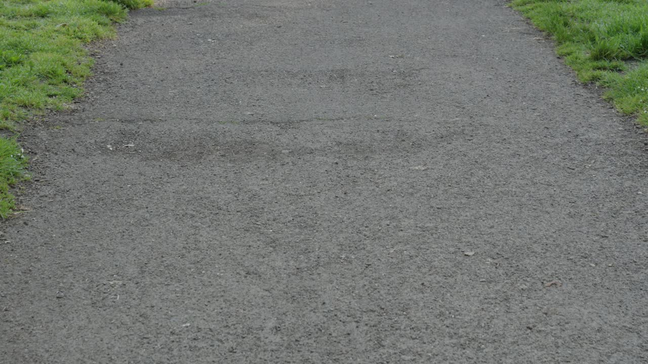 Tracking Shot Along Empty Tarmac Path in Nature Park