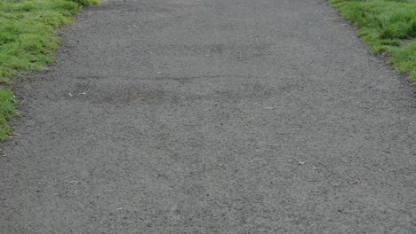 tracking shot along empty tarmac path in nature park