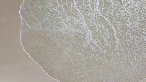 vista aérea de pájaro sobre las suaves olas que lamen la playa tranquila