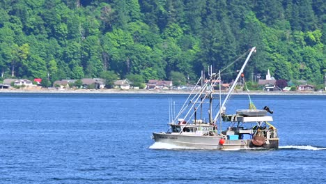 casting nets: fishing boats in action with quadra island as the backdrop