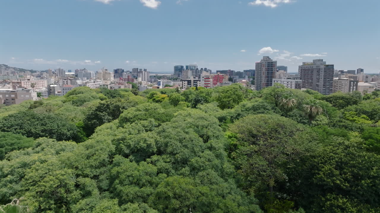Vista aérea em paralaxe feita por drone mostrando o contraste entre os copas das árvores verdes do Parque da Redenção (Parque da Redencao) e os edifícios da cidade em Porto Alegre, Brasil. Vídeos em 4K ProRes de 10 bits