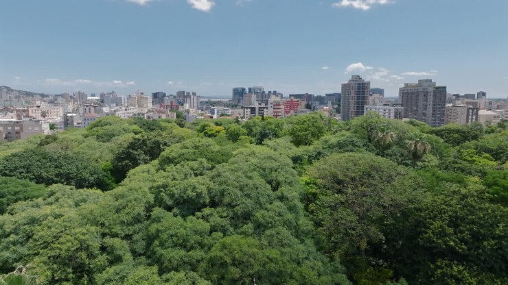 Vista aérea em paralaxe feita por drone mostrando o contraste entre os copas das árvores verdes do Parque da Redenção (Parque da Redencao) e os edifícios da cidade em Porto Alegre, Brasil. Vídeos em 4K ProRes de 10 bits