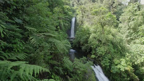 Cascada-En-Medio-De-Una-Jungla-En-Costa