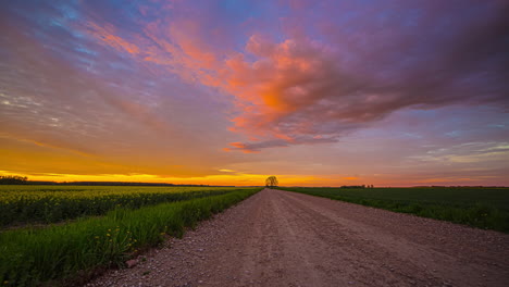 5k timelapse of empty path between canola fields during beautiful sunset and flying clouds at multi-colored sky