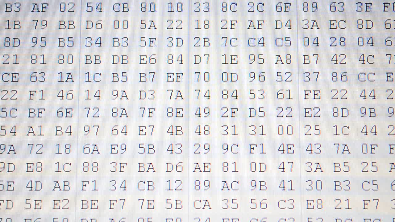 Work of the program for a code. Program code. Hexadecimal program code on screen. Animated background of moving binary code numbers