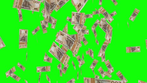 500-DANISH-KRONE-notes-falling-Green-screen