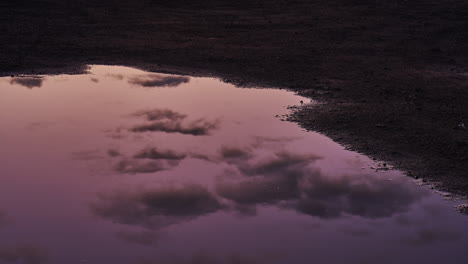 reflection of clouds passing in the sky in a puddle at sunset - time lapse