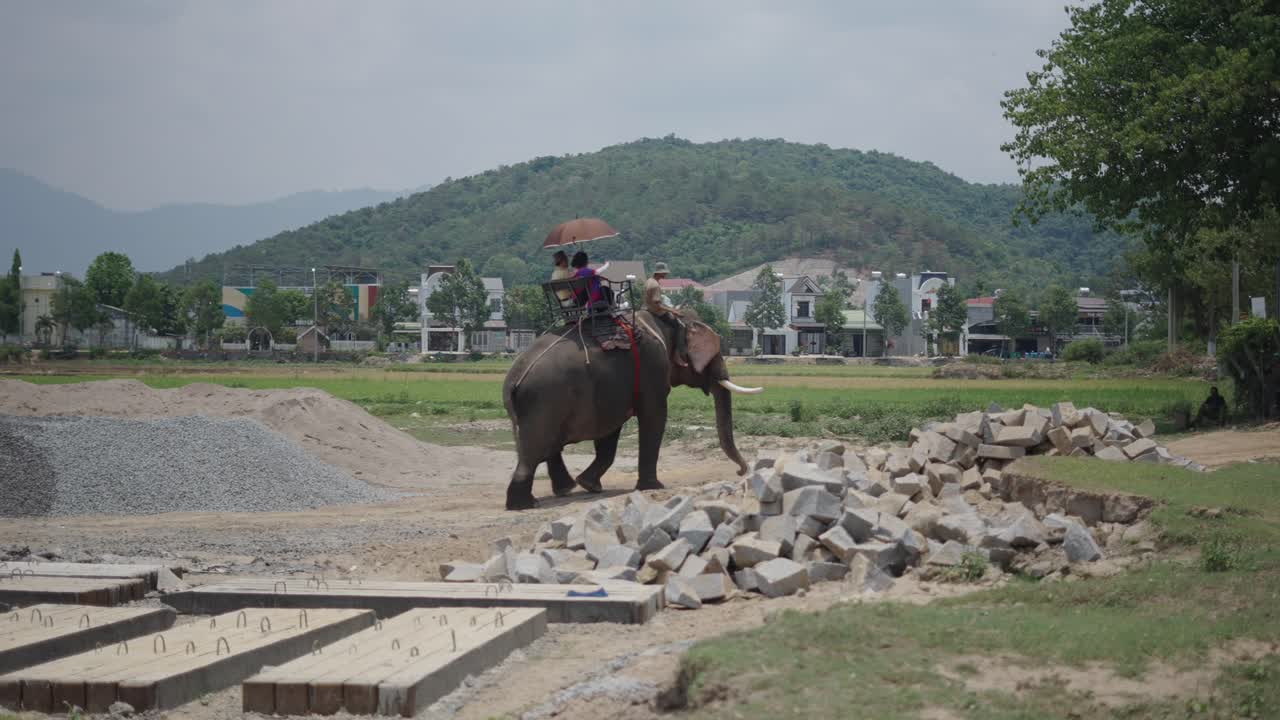 Elephant Ride in a Rural Construction Area