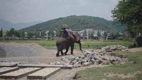elephant ride in a rural construction area