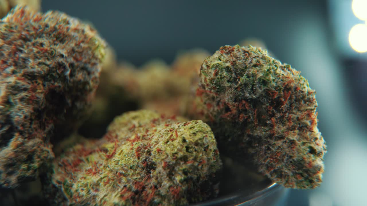 대마초 식물, 하이브리드 품종, 인디카와 사티바, 대마초 꽃의 매크로 영화 촬영, 360 회전 스탠드, 검은 반 ⁇ 이는 울음소리, 슬로우 모션, 4k 비디오, 스튜디오 전문 조명