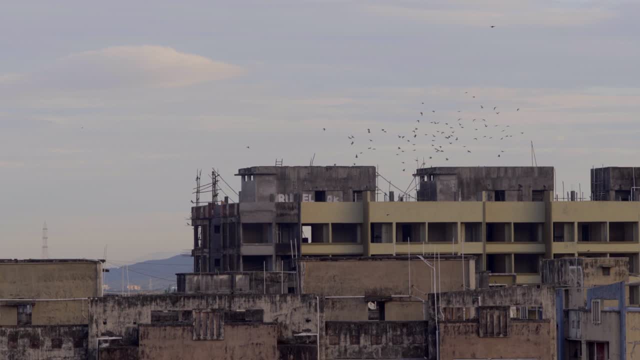 Stormo di uccelli che vola sopra edifici residenziali sullo skyline della città di Mumbai, India, al mattino
