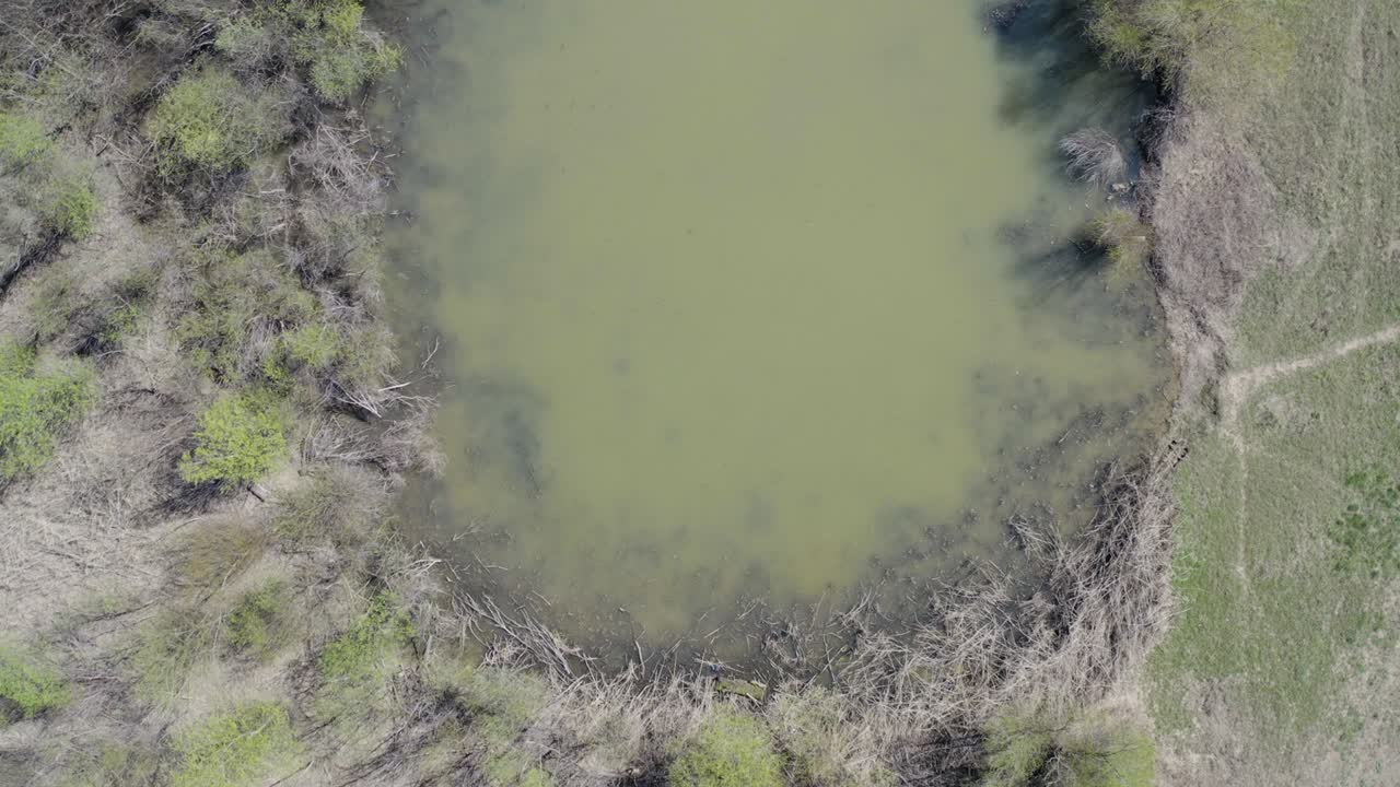 volando sobre un río oscuro en un movimiento circular rodeado por una línea de árboles de dence