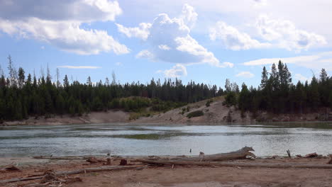 Ein-Teich-In-Großer-Höhe,-Umgeben-Von-Bäumen-Und-Treibholz-Im-Yellowstone-Nationalpark