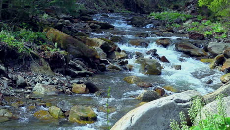 Small-mountain-river.-Landscape-with-stream-flowing-between-rocks-and-trees