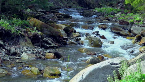 Pequeño-Río-De-Montaña.-Paisaje-Con-Arroyo-Que-Fluye-Entre-Rocas-Y-árboles