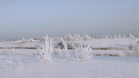 mit winterfrost bedeckte landschaft