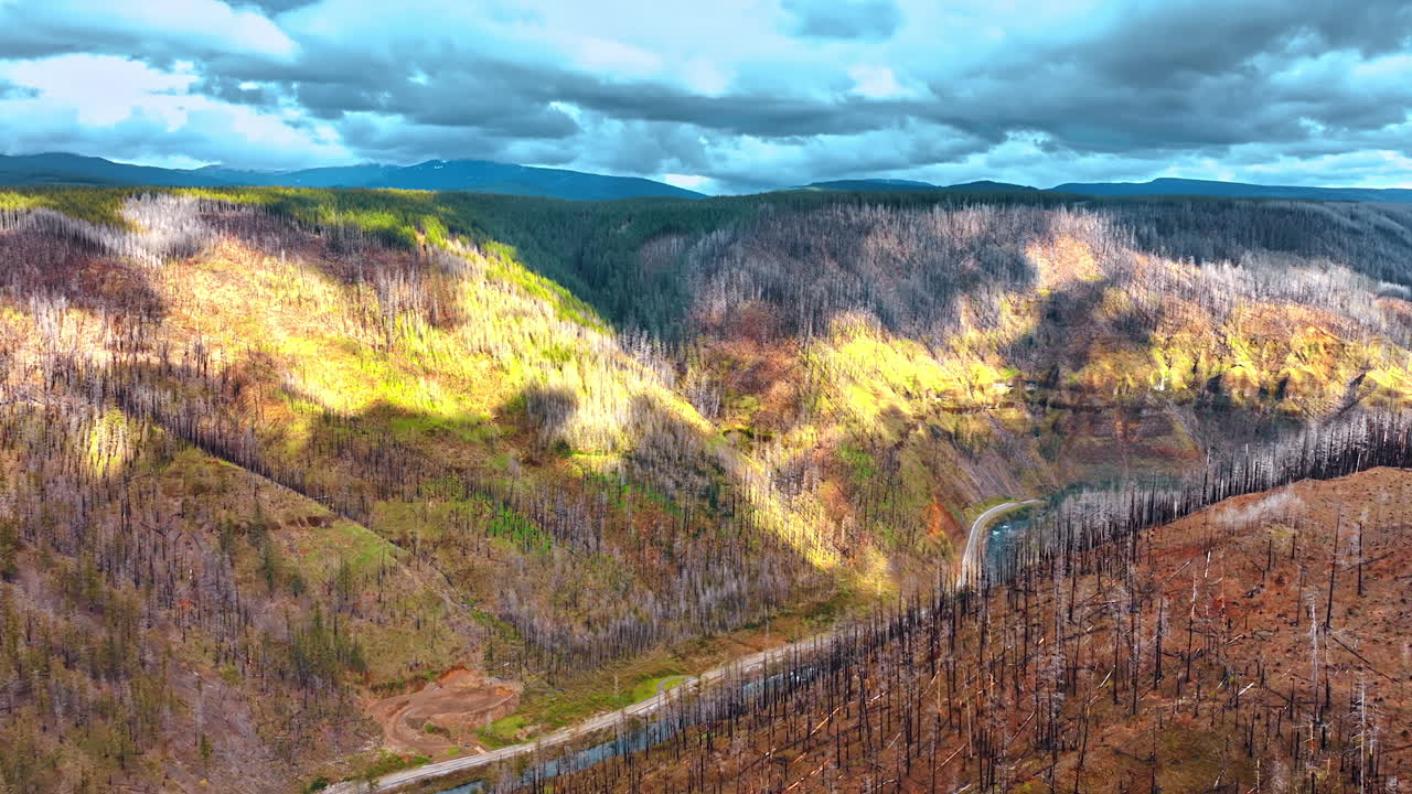 Oregon mountains covered with dry woods. Dramatic clouds hanging above the rocks. Drone footage.