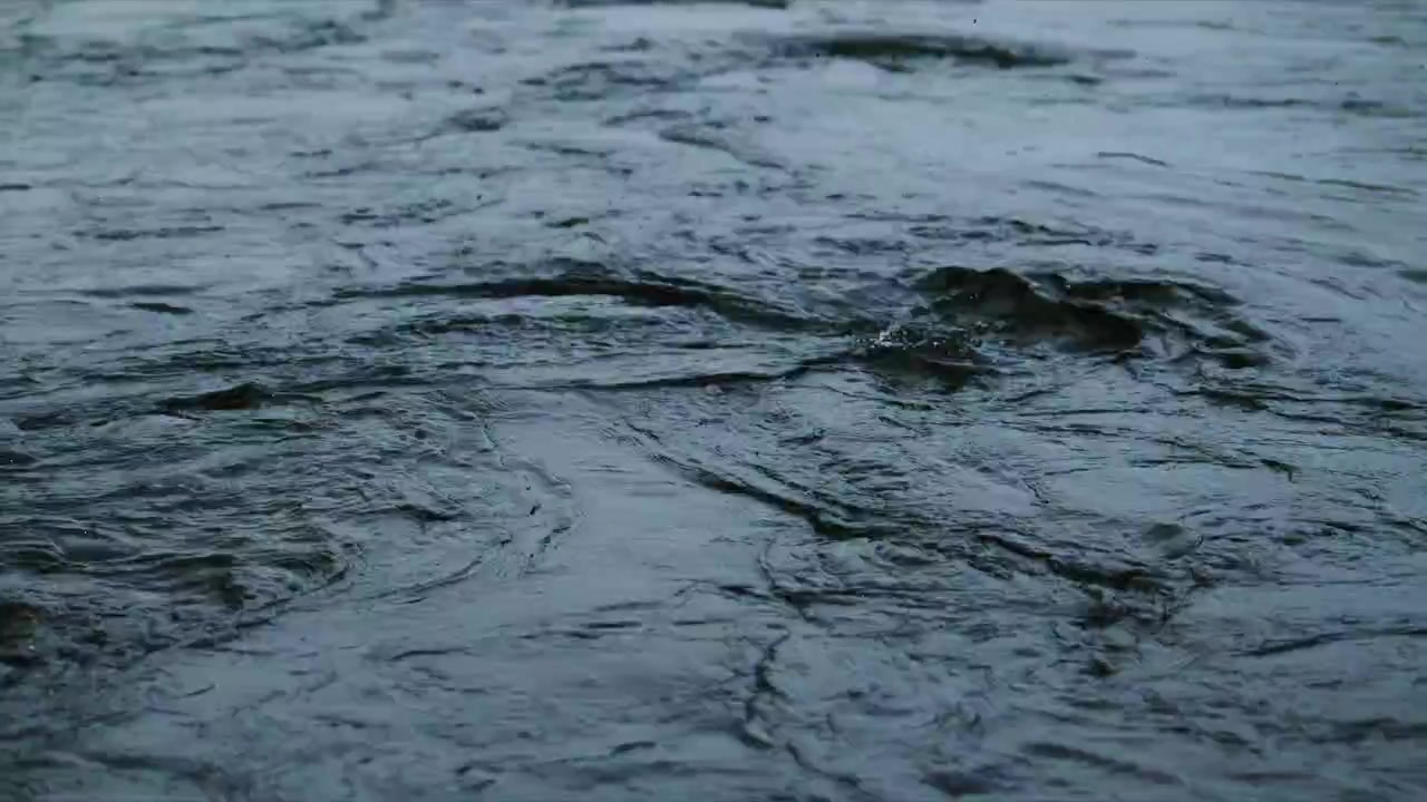 Dark, murky water flows with gentle ripples. Surface reflects dim light, creating moody texture. No people visible in footage. Ideal for nature, environmental, or storm-themed projects
