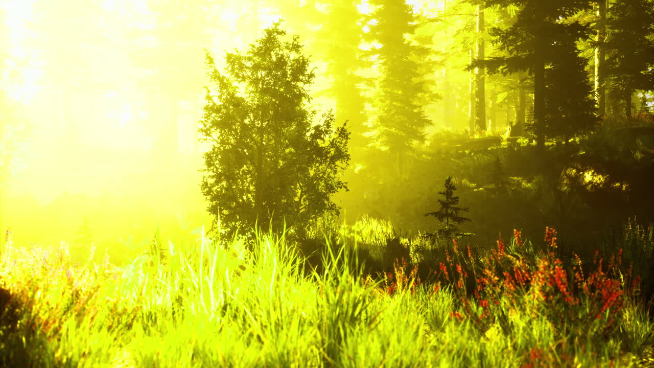 Sunlit forest with vibrant greenery and colorful spring flowers