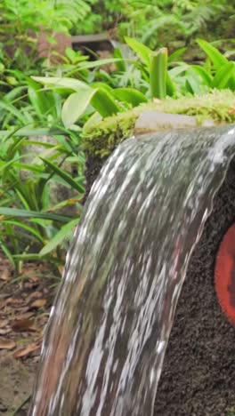 tranquil water feature in a lush garden