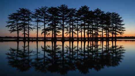 tranquil reflection: a serene silhouette of trees standing tall against a colorful twilight sky over still waters at dusk