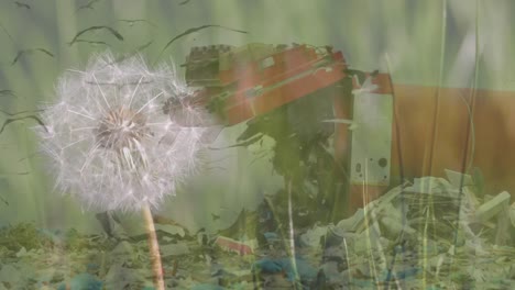 diente de león sobre el camión en el sitio de eliminación de basura