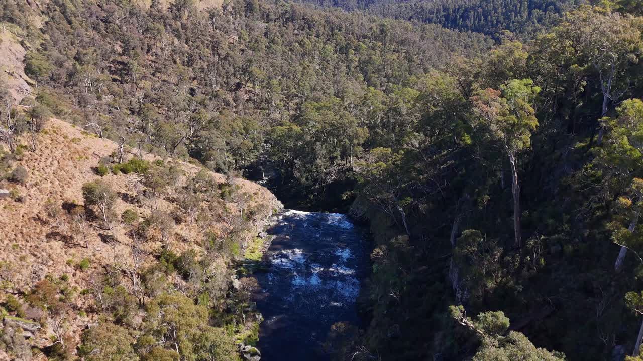 Drone camera smoothly descends above a forested gorge, revealing Ebor Falls and surrounding bushland in bright natural daylight with clear, crisp shadows