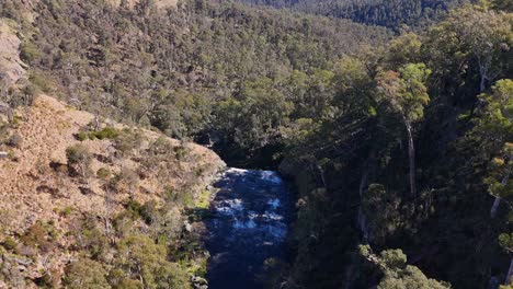 drone camera smoothly descends above a forested gorge, revealing ebor falls and surrounding bushland in bright natural daylight with clear, crisp shadows