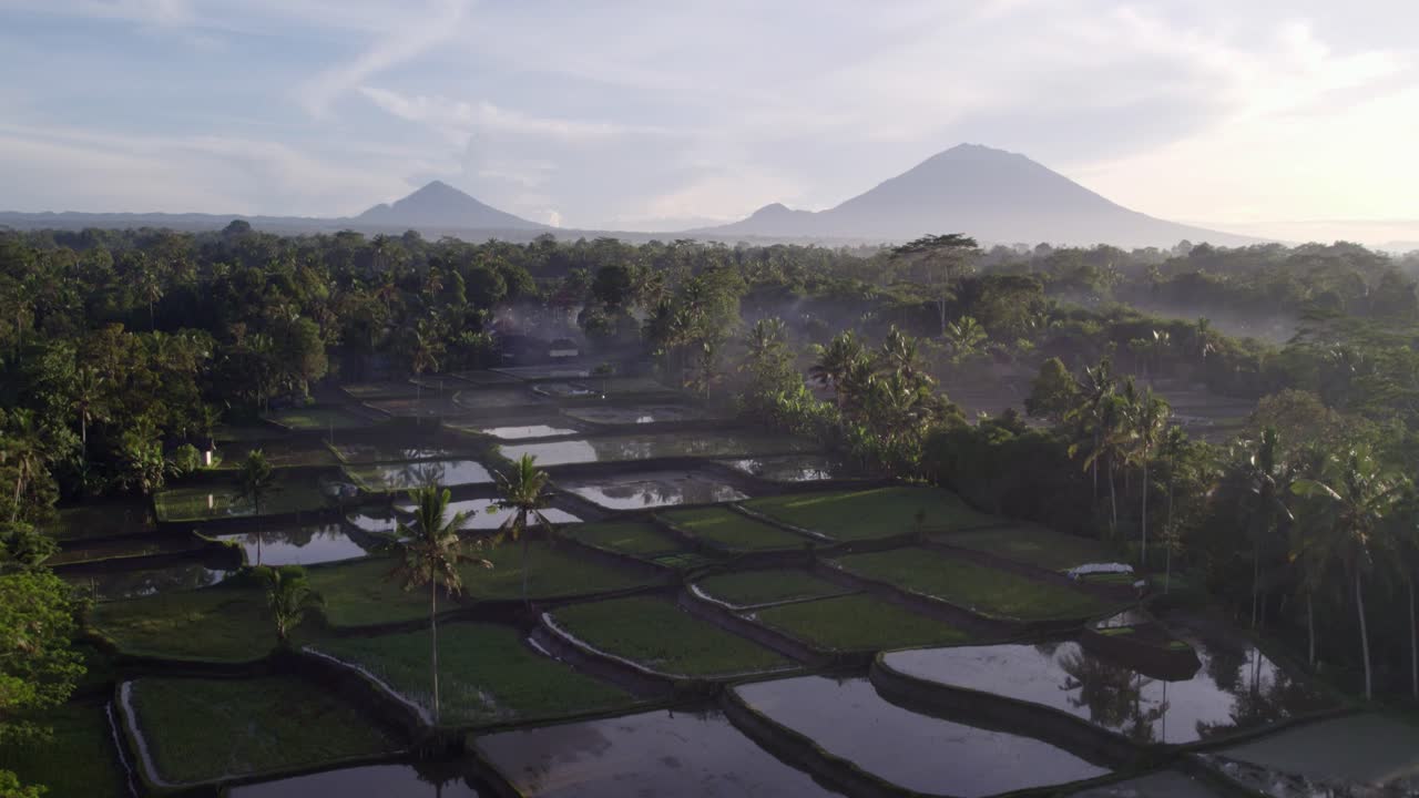 Tramonto vivido sulle risaie a terrazze con riflessi vulcanici a Bali