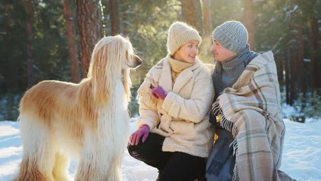 couple with dog in winter forest