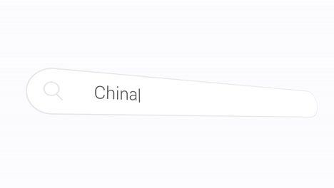 entering china in the internet browser - close up