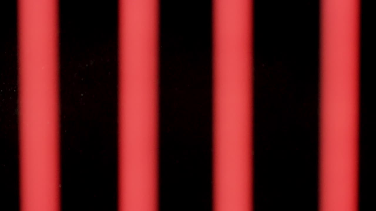 은 줄무에 떨어지는 고추알