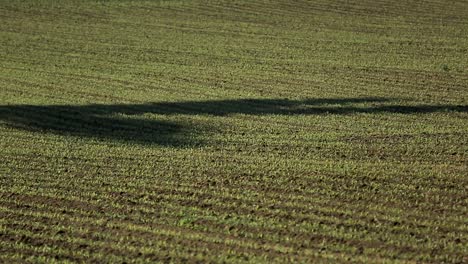 Schatten-Einer-Windkraftanlage,-Die-Sich-über-Ein-üppiges-Grünes-Feld-Erstreckt,-Frühes-Morgenlicht