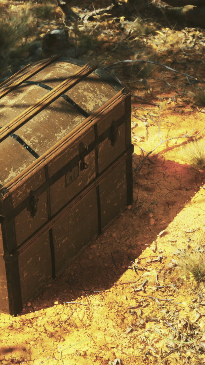 Treasure chest sits in the sand with sunlight shining in the afternoon
