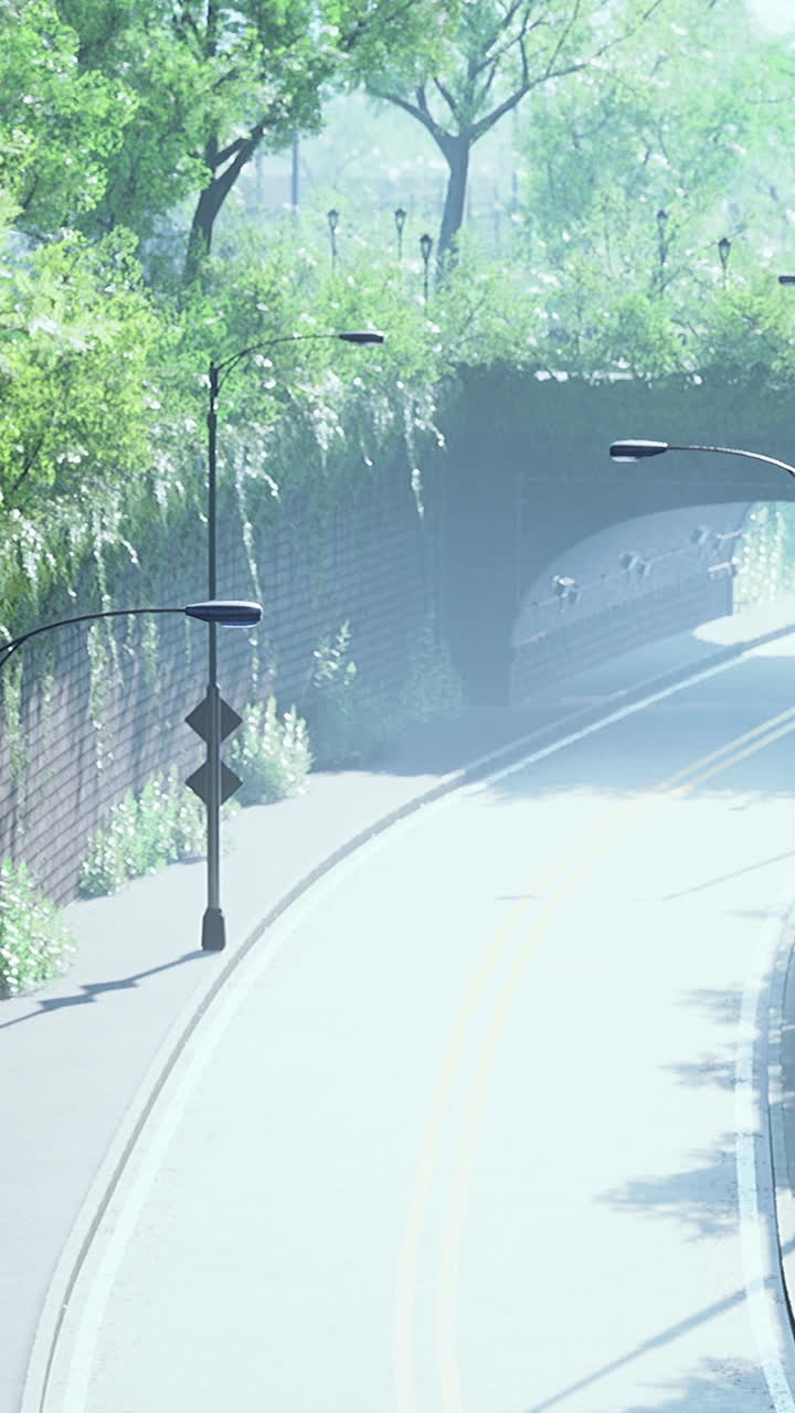 도시 공원 의 안개 가 가득 한 도로