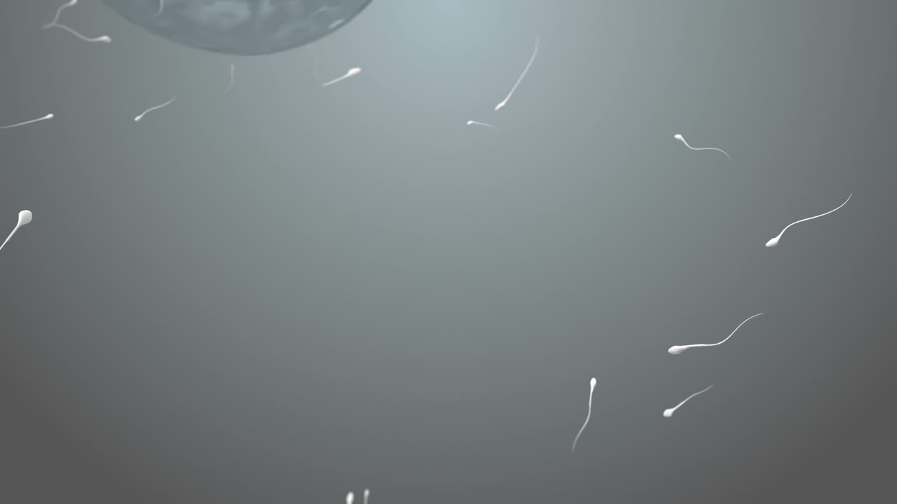 un óvulo en movimiento siendo fertilizado por espermatozoides