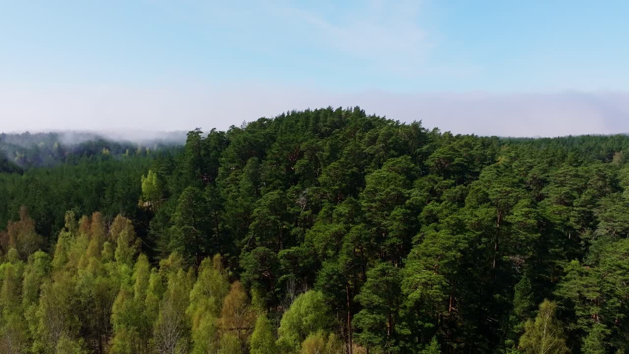 Açık mavi gökyüzü altında drone sola doğru hareket ederken yeşil çam ormanı ve dalgalı kum tepeleri
