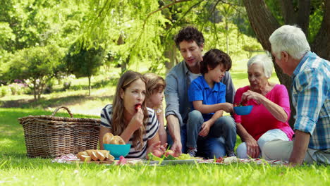 Happy-family-having-a-picnic