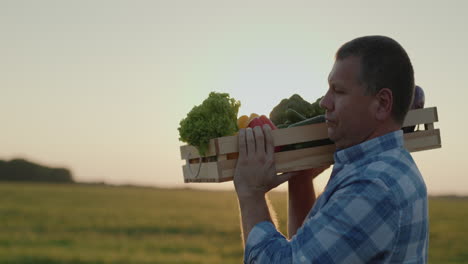 Farmer-carries-on-his-shoulder-a-box-of-vegetables