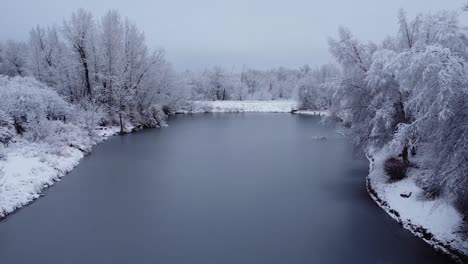 pond covered in ice surrounded by snow covered trees aerial view